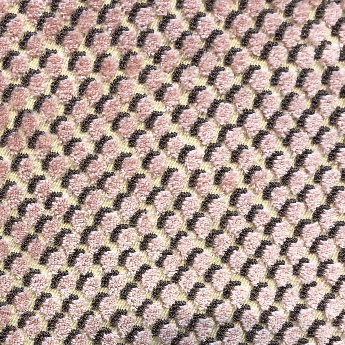 82233010